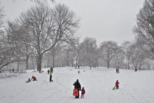 May 4-8, 2026: Steve Simon & David Brommer: Passionate Street & United Nations New York City Spring Workshop