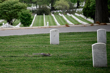 May 1-3, 2026: Washington, DC MENTORSHIP WORKSHOP with Steve Simon & Susan Sanders