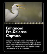 Friday December 1, 2025: Steve Simon's NIKON Z8 MASTERY (and Z9!) ONLINE BOOTCAMP  (Includes comprehensive coverage of amazing 3.00 & 5.20 Firmware Updates!)