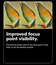 Friday December 1, 2025: Steve Simon's NIKON Z8 MASTERY (and Z9!) ONLINE BOOTCAMP  (Includes comprehensive coverage of amazing 3.00 & 5.20 Firmware Updates!)