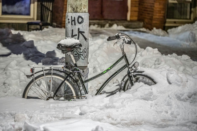 February 5–10, 2027: Québec City Winter Carnaval Photography Workshop with Steve Simon & Marc Rochette