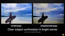 Friday December 1, 2025: Steve Simon's NIKON Z8 MASTERY (and Z9!) ONLINE BOOTCAMP  (Includes comprehensive coverage of amazing 3.00 & 5.20 Firmware Updates!)