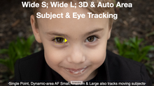 Friday December 1, 2025: Steve Simon's NIKON Z8 MASTERY (and Z9!) ONLINE BOOTCAMP  (Includes comprehensive coverage of amazing 3.00 & 5.20 Firmware Updates!)