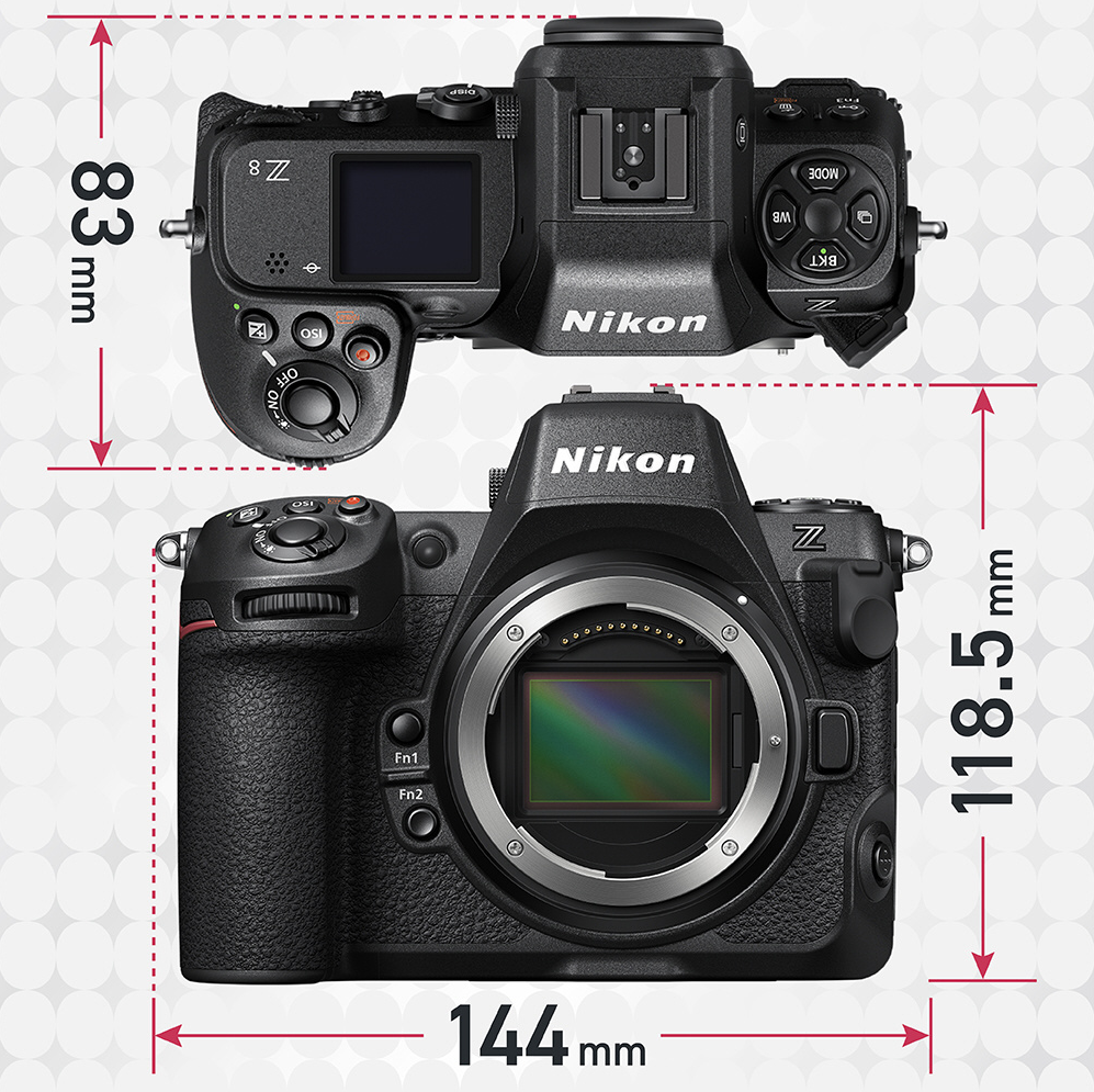 Should You Buy the Nikon Z8 or Z9?