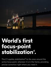 Steve Simon's NIKON ZF MASTERY ONLINE BOOTCAMP