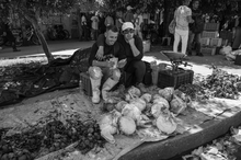 December 5-12, 2025 Street Photographer Masterclass with Steve Simon