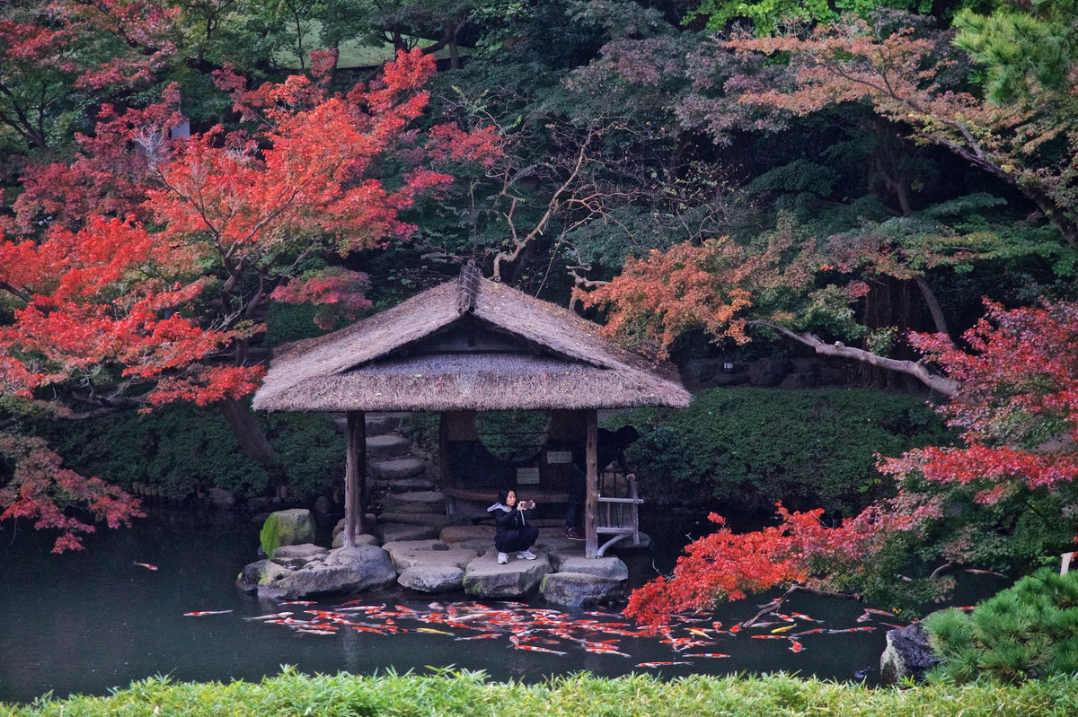2 Spots Left — November 16–23, 2026: Passionate Japan, Exploring Northern Kyushu