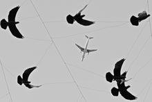 Nikon Z6II & Z7II & ZFC (Z7, Z6, Z5, Z50) Mastery Bootcamp