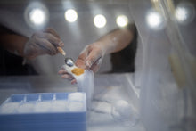 November 16–23, 2026: Passionate Japan: Exploring Northern Kyushu Fukuoka • Kumamoto • Nagasaki