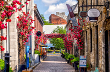 Wait list! June 12-14, 2026 Montreal Passionate Photographer Masterclass