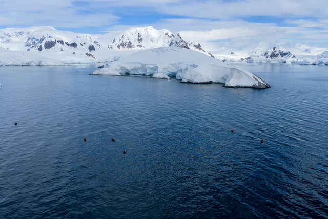 A photograph from the original Antarctic expedition collection