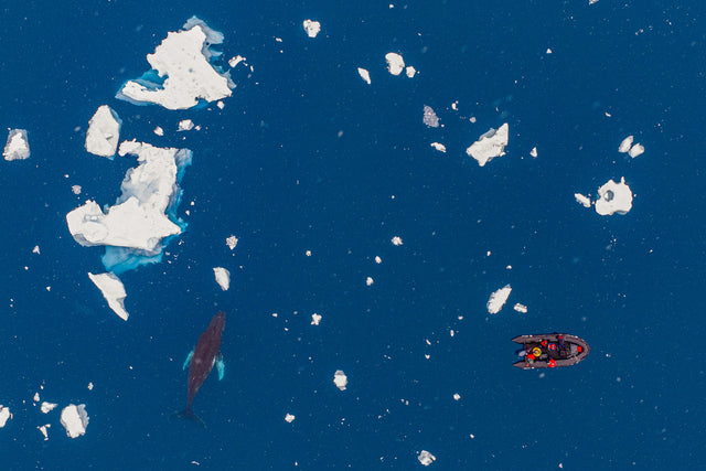 A photograph from the original Antarctic expedition collection
