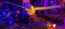 1 Spot Left! October 28–November 3, 2025: Día de los Muertos (Day of the Dead) in Mérida, Mexico