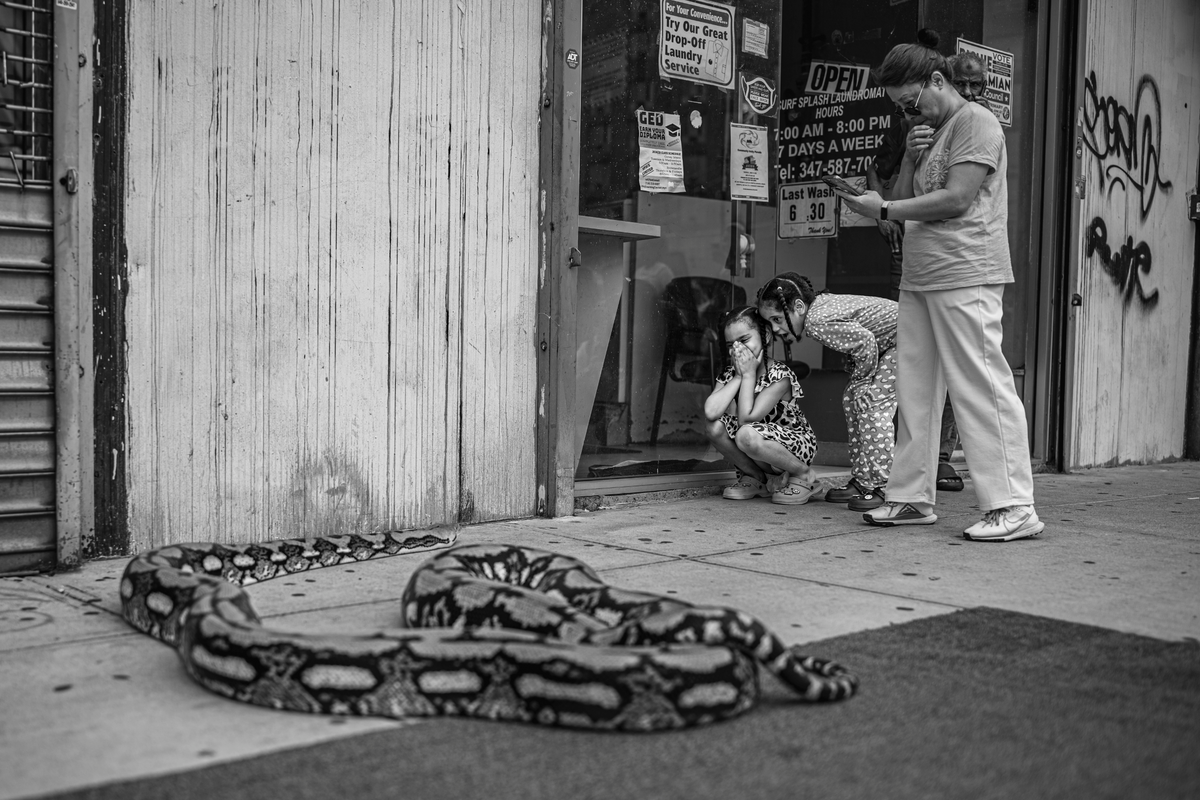 June 18-20, 2027: The Mermaid Parade Street Photography Workshop — NYC with Steve Simon