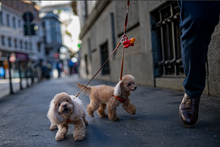 April 23-28, 2027: The Passionate Street & Urban Photographer Workshop Milan with Steve Simon, David Brommer & Ugo Cei