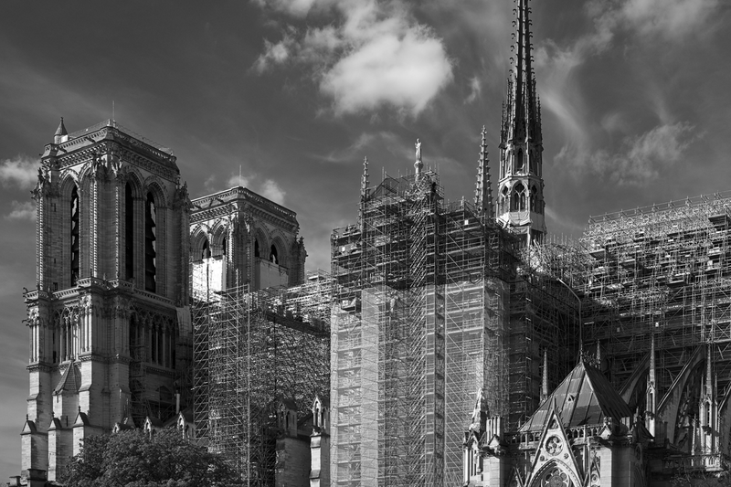 The Left Bank, Notre-Dame & the Seine