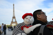 April 11-17, 2027 - Paris In Springtime with Steve Simon & David Brommer
