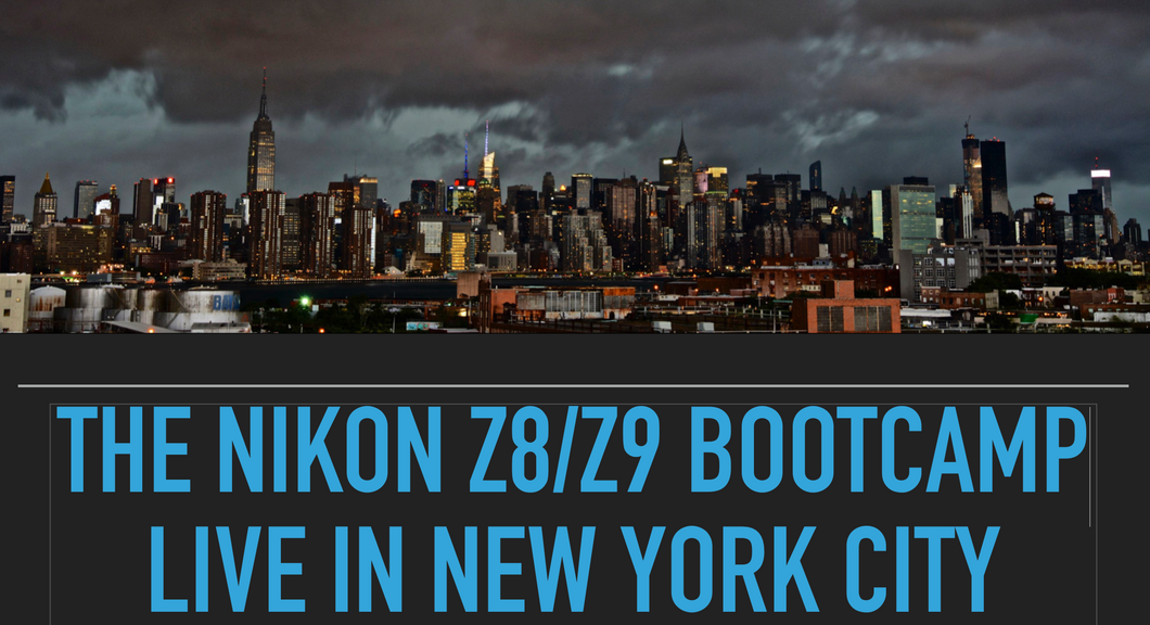 Saturday March 2, 2024: Nikon Z8/Z9/ZF New York City 1-Day/Night Masterclass with Steve Simon
