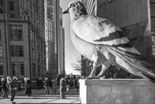 Personal Mentorship: One-Day & Night New York City Photography Intensive with Steve Simon