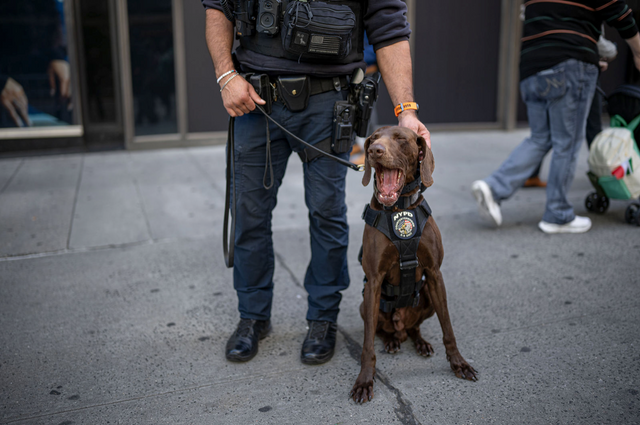 A New York parade photograph by Steve Simon