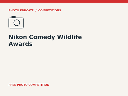 Nikon Comedy Wildlife Awards