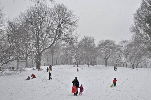 January 15–17, 2027: Winter New York City Weekend Mentorship Workshop with Steve Simon & David Brommer