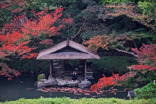 4 Spots Left! May 20-28, 2026 Deeper Japan: A Cultural & Photographic Masterclass