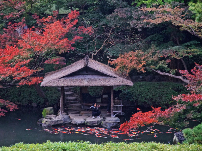 Two Spots Opened Up! — November 16–23, 2026 Passionate Japan: Exploring Northern Kyushu Fukuoka • Kumamoto • Nagasaki