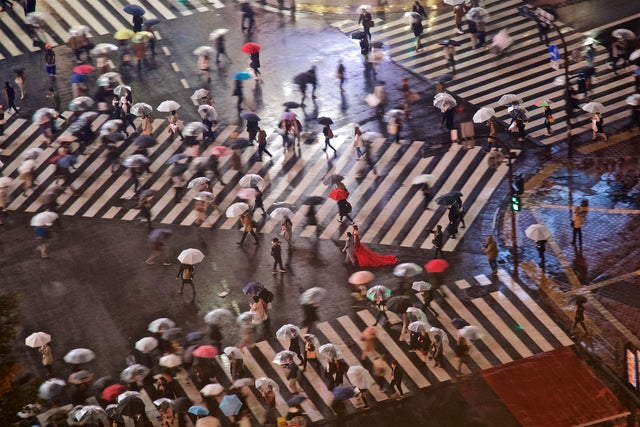 May 19-27, 2027 Deeper Japan: A Cultural & Photographic Masterclass