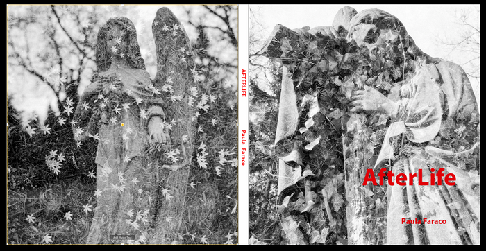 Photobook example or page layout