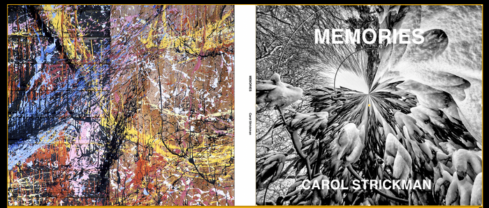 Photobook example or page layout